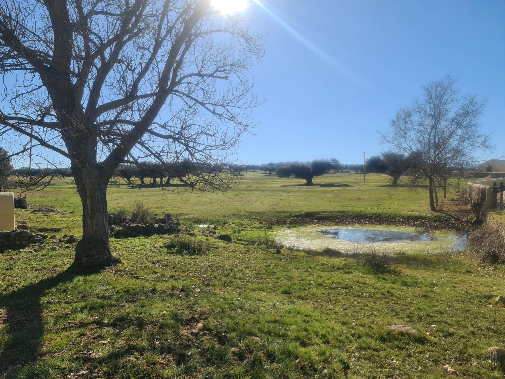 Casa Rural Palacio Conde De Aldana Con Piscina Entre Encinares Y Dehesas Terradillos Экстерьер фото